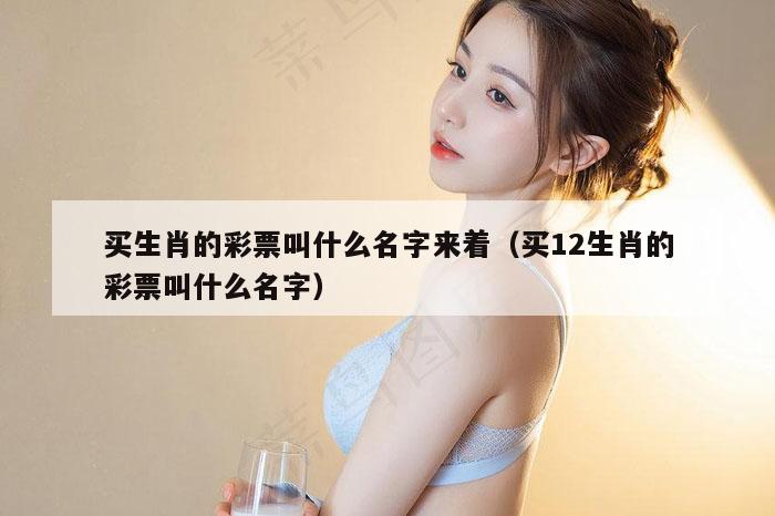 买生肖的彩票叫什么名字来着（买12生肖的彩票叫什么名字）